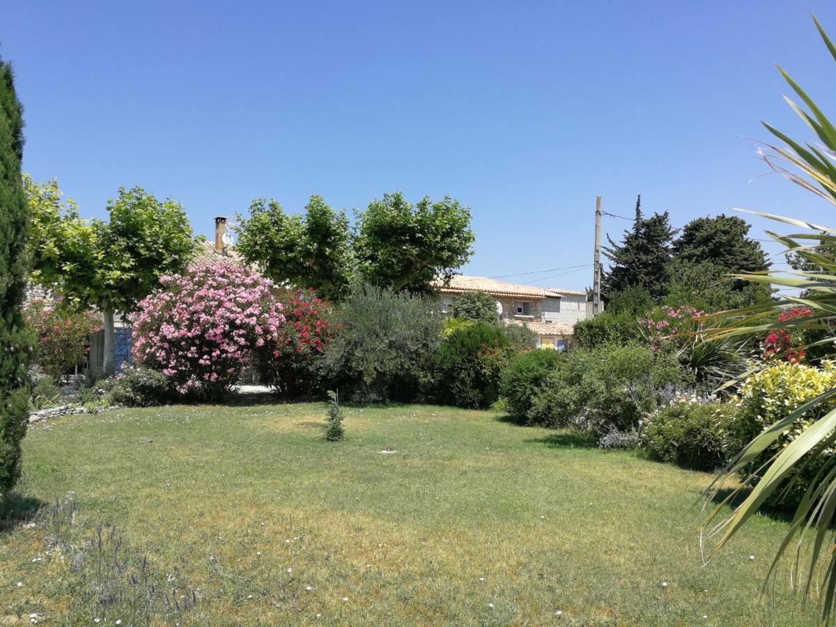 Apartment - Des Oliviers