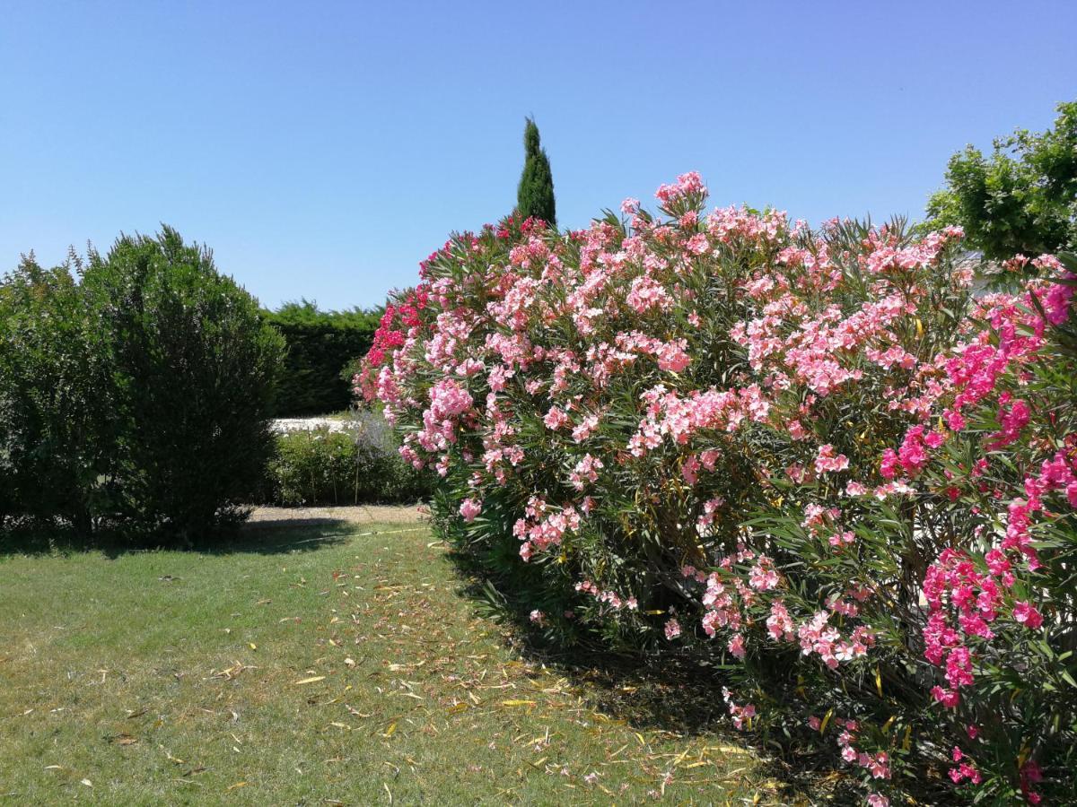 - Des Oliviers Apartment Richerenches